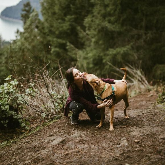 Meet your Posher, Bailey - Picture 1 of 1